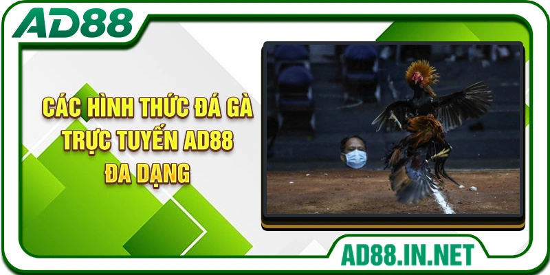 Các hình thức đá gà trực tuyến AD88 đa dạng