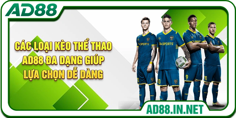 Các loại kèo thể thao AD88 đa dạng giúp lựa chọn dễ dàng